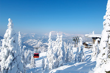 Skiwelt amadé