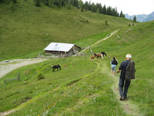 Natur pur in Wagrain