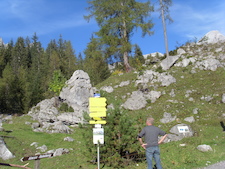 si854701.jpg
