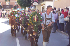Almabtrieb in Wagrain